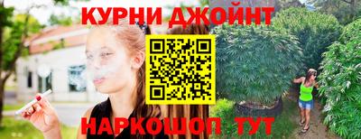 дмт Можга