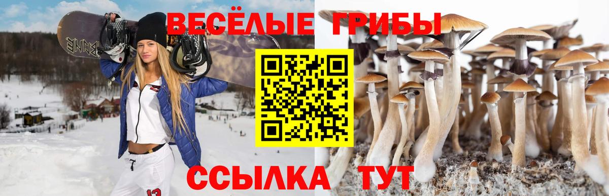 Арзамас  Галлюциногенные грибы Cubensis  Вход с VPN 
